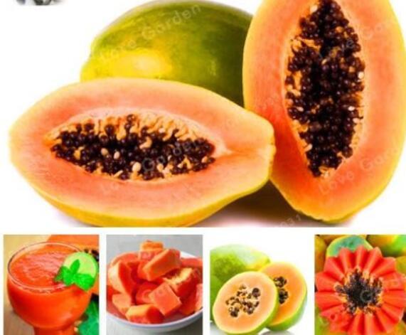 100% True Papaya Carica Papaya Seeds
