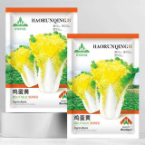 'Golden Egg Yolk' Chinese Cabbage Seeds - Early Harvest, Heat & Cold Resistant, Perfect for Autumn Planting