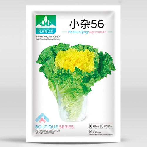 'Xiao Za 56' Fast-Growing Yellow Heart Chinese Cabbage, Ideal for Dense Planting, Heat-Resistant, Cylindrical Head