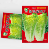 Fast-Growing Chinese Cabbage '38 Variety', Heat-Resistant and Disease-Resistant