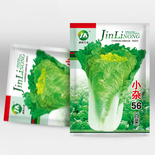 'Xiao Za 56' Early-Maturing Yellow Heart Chinese Cabbage, Heat-Resistant, Dense Planting, 55-Day Growth Period
