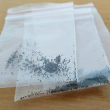 Fresh Drosera Seeds Mix – Different Varieties Including Drosera floribunda, Drosera dielsiana, Drosera cuneifolia, and More, High Germination, 2025 Harvest