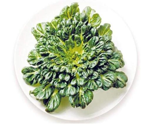 Brassica Narinosa Seed Rapid Growth Nutritious Green Winter Vegetables Plants for Home Garden Easy to Grow
