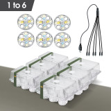Advanced LED Seed Starter Tray Kit with 6 Nursery Cups, Full-Spectrum Lights, Transparent PET, Perfect for Home Gardening & Greenhouse