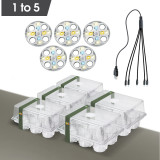 Advanced LED Seed Starter Tray Kit with 6 Nursery Cups, Full-Spectrum Lights, Transparent PET, Perfect for Home Gardening & Greenhouse