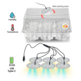Advanced LED Seed Starter Tray Kit with 6 Nursery Cups, Full-Spectrum Lights, Transparent PET, Perfect for Home Gardening & Greenhouse