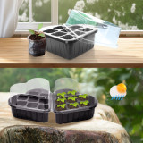 N298 8-Hole Heart-Shaped Seed Starter Tray – Transparent PET Cover for Optimal Growth | Ideal for Flowers, Herbs, and Vegetable Cultivation | Durable & Eco-Friendly