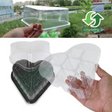 N298 8-Hole Heart-Shaped Seed Starter Tray – Transparent PET Cover for Optimal Growth | Ideal for Flowers, Herbs, and Vegetable Cultivation | Durable & Eco-Friendly