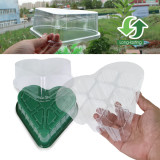 N297 Heart-Shaped Seedling Tray for Home Gardening | 8-Hole Eco-Friendly PET Seed Starter with Drainage & Transparent Lid for Greenhouse & Balcony Use
