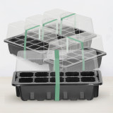 N300 Transparent Seed Starter Tray with Lid, 10 Cells & Drainage Holes - Ideal for Growing Vegetables, Flowers, Herbs Indoors