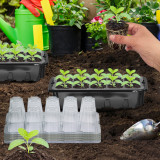N300 Transparent Seed Starter Tray with Lid, 10 Cells & Drainage Holes - Ideal for Growing Vegetables, Flowers, Herbs Indoors