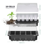 N300 Transparent Seed Starter Tray with Lid, 10 Cells & Drainage Holes - Ideal for Growing Vegetables, Flowers, Herbs Indoors