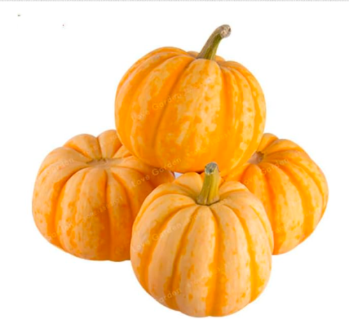 Rare Mini Pumpkin Seed Organic Fruit Vegetable Seeds