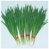 Chinese Chive Seed Garden Potted Leek Plants Seed