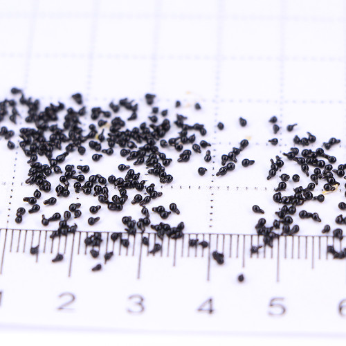 Lachenalia reflexa Seeds – Rare South African Bulbous Plant from Bellfarm®