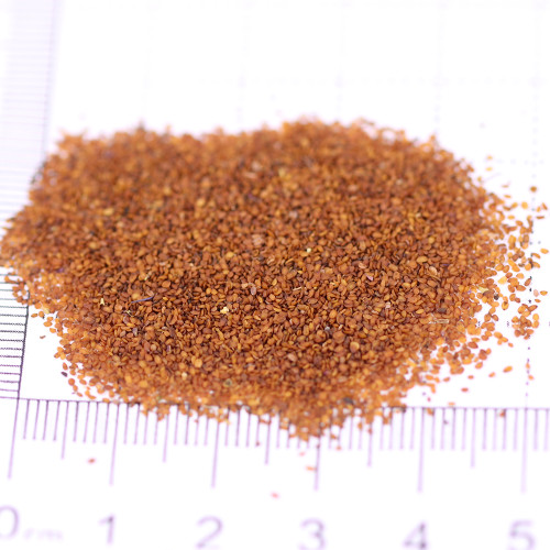 Spike Speedwell Seeds, #Ver01 Blue