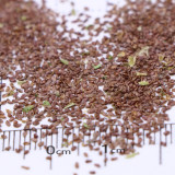 Canterbury Bells Flower Seeds – Vibrant Purple Blooms for Pollinator-Friendly Gardens