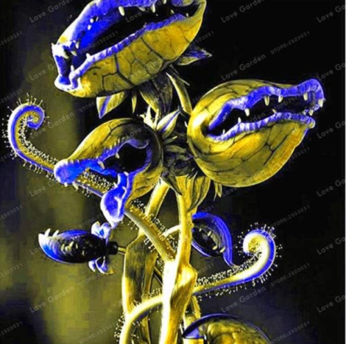 Venus Fly Trap Carnivorous Plant Seed (Color: 1)