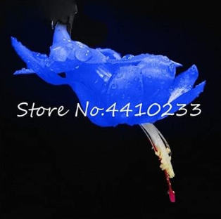 Zygocactus Truncatus Flower Bonsai,Schlumbergera,Rare Orchid Bonsai Flower Multi-Colored