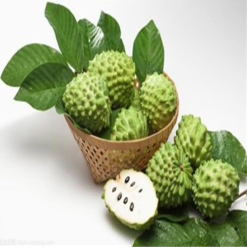 Sweetsop Fruit Custard Apple Buddha's Head Fruits Cherimoya Sugar Apple Annona Tree 100% true Easy to grow