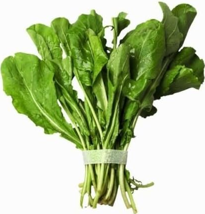 ARUGULA Bulk 500 Seeds Spicy Flavor Herb
