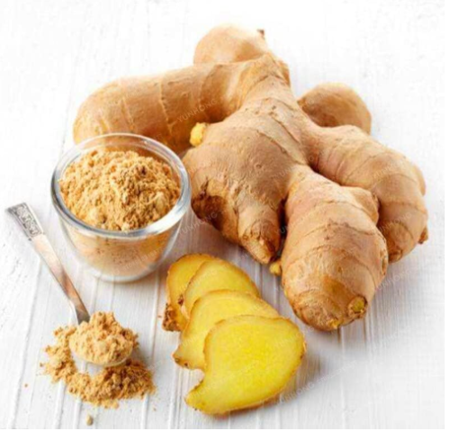 Ginger Seed Balcony Vegetables Potted Seeds