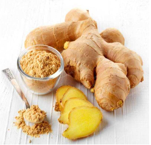 Ginger Seed Balcony Vegetables Potted Seeds