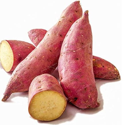 Sweet Potato Seed Purple Sweet Potato Vegetable
