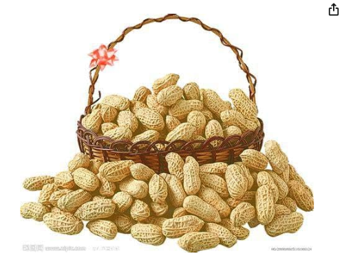 Red Peanut Planting Seed Organic Rare Heirloom Plants Seeds