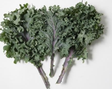Kale Russian Red Vegetables