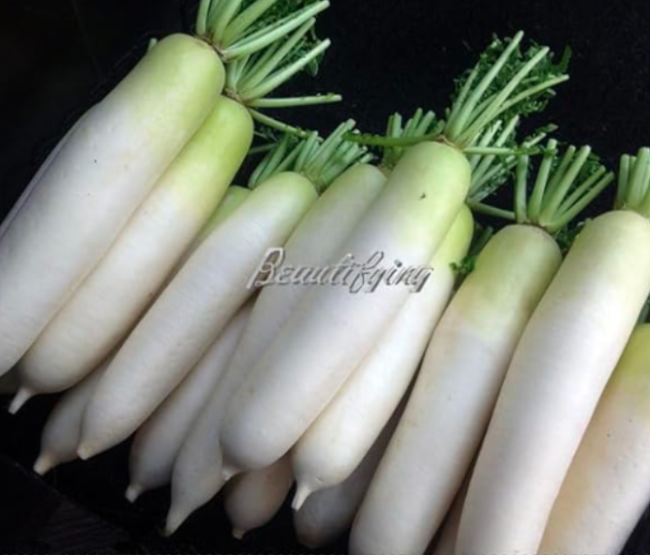 Sweet White Radish Seeds, Non-Gmo Vegetables