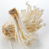 Mushroom Seed Funny Enoki Mushroom Plant Edible Health Vegetable Mushroom