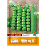 Edible Green Pea Seeds, Perfect for Gardening