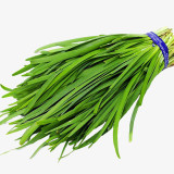HUAJUN 791 Series Chinese Chives Seeds
