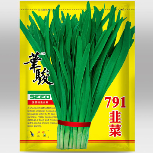 HUAJUN 791 Series Chinese Chives Seeds