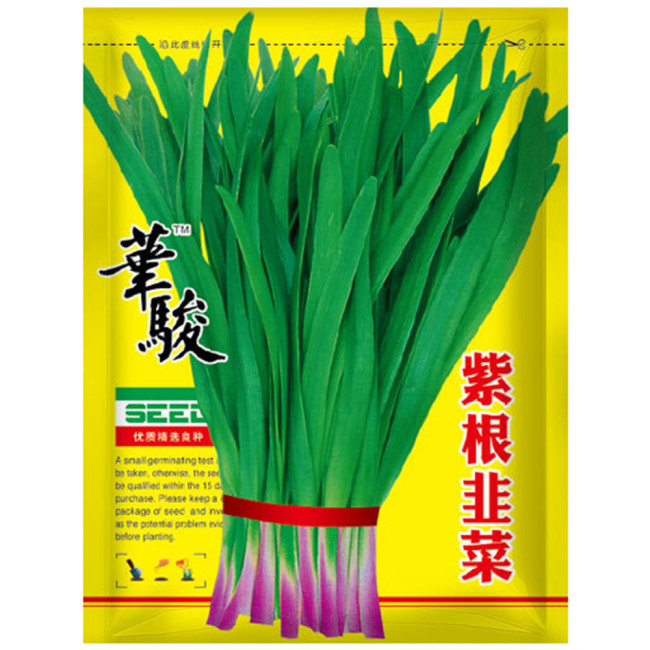 HUAJUN Purple-rooted Chinese Chives Seeds