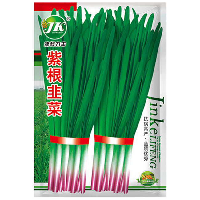 Purple-rooted Chinese Chives Seeds: A Unique & Flavorful Variety