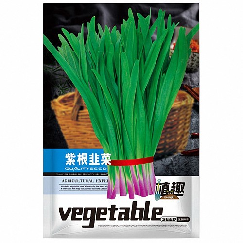 ZHIQU Purple-rooted Chinese Chives Seeds