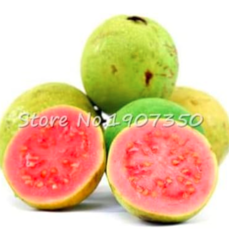 Fresh Sweet Red Guava Psidium Guajava Thai Pink Fresh Large Fruits (Color: 1)