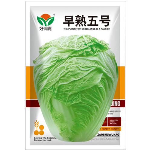 Early-maturing No.5 Chinese Cabbage Seeds