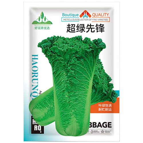Super Green Pioneer Chinese Cabbage Seeds