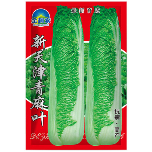 Tianjin Qingmaye Chinese Cabbage Seeds