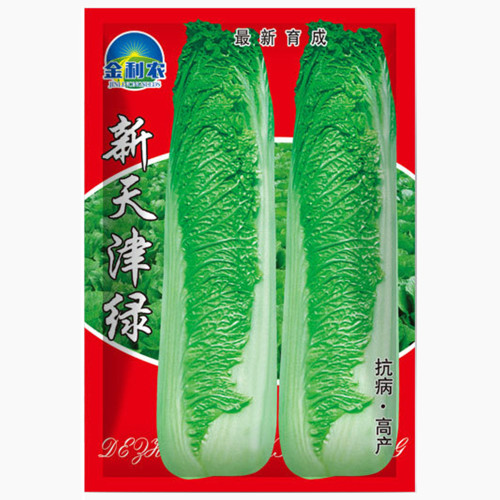 Tianjin Green Napa Cabbage Seeds