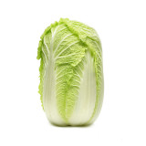 Maye Hot Pot Chinese Cabbage Seeds: Early Maturity, Sweet and Crisp Taste