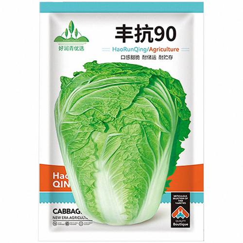 Fengkang 90 Chinese Cabbage Seeds