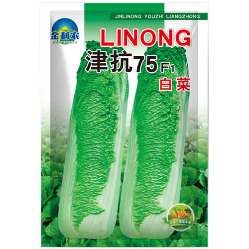 Jinkang 75 Chinese Cabbage Seeds
