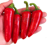 Serrano Red Pepper Seeds, Edible Vegetable Hot Chilli