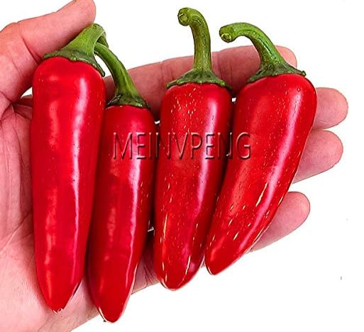 Serrano Red Pepper Seeds, Edible Vegetable Hot Chilli
