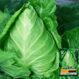Pagoda Ox-heart Cabbage Seeds