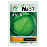 Green Treasure Cabbage Seeds